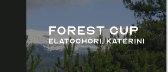 Forest-cup